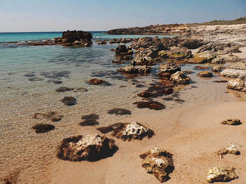 Luxury Beach Villa Puglia Italy Pulsano Zewnętrze zdjęcie